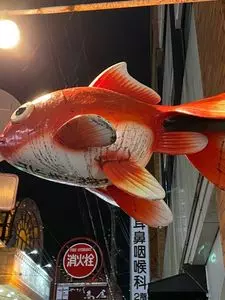 山下きんぎょ（やましたきんぎょ）