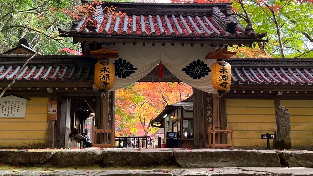 西明寺　千年夫婦杉