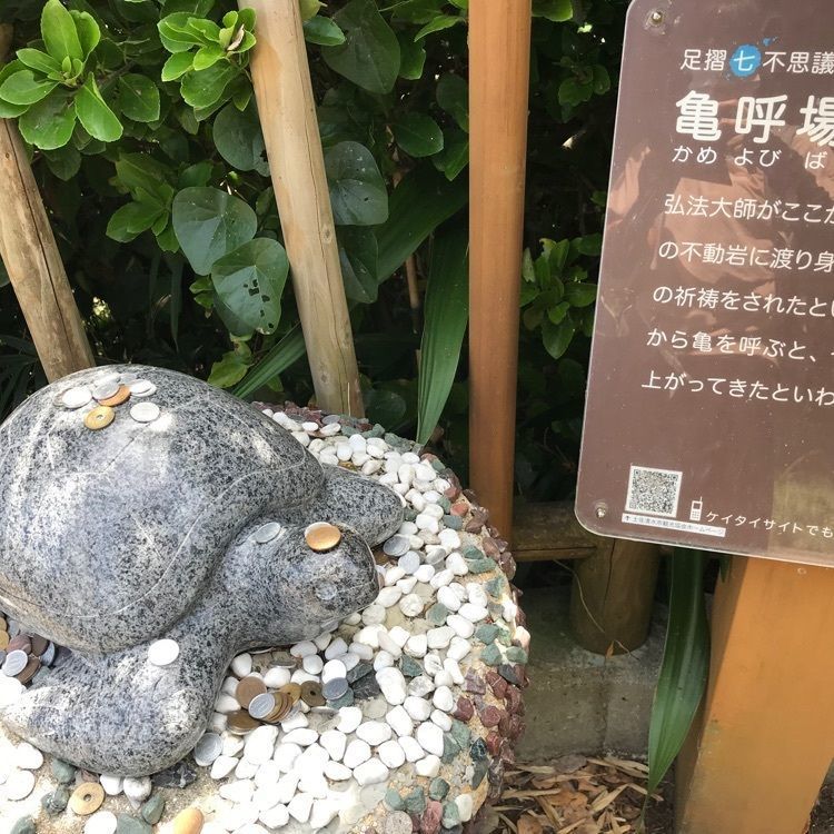 norisanさんが投稿した画像の画像