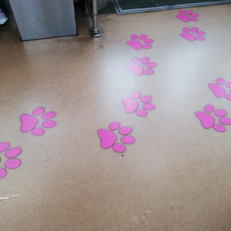 ＤＪゴン太さんが投稿した東急世田谷線三軒茶屋駅に関する口コミの画像
