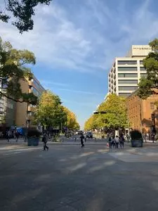 日本大通り