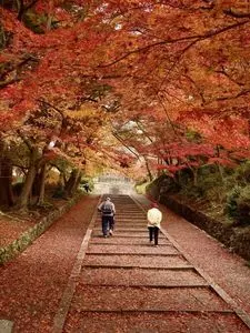 毘沙門堂の紅葉