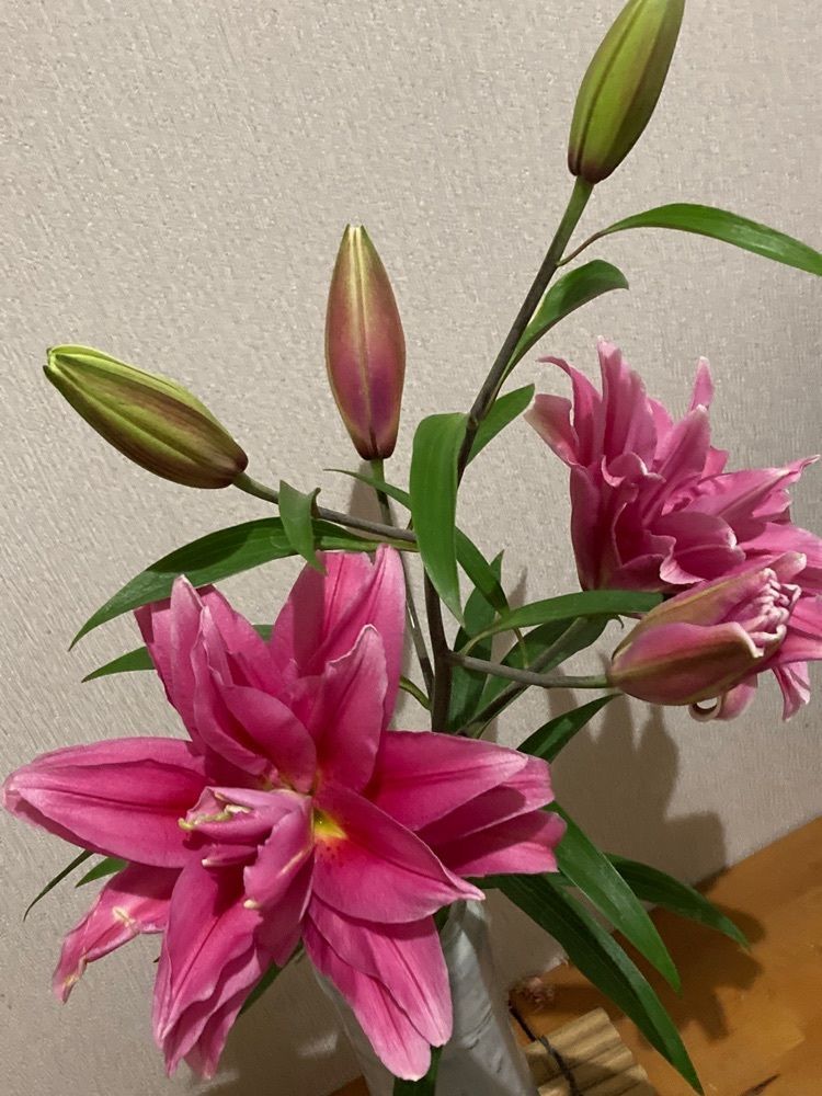 momochiさんが投稿したアズーラに関する口コミの画像