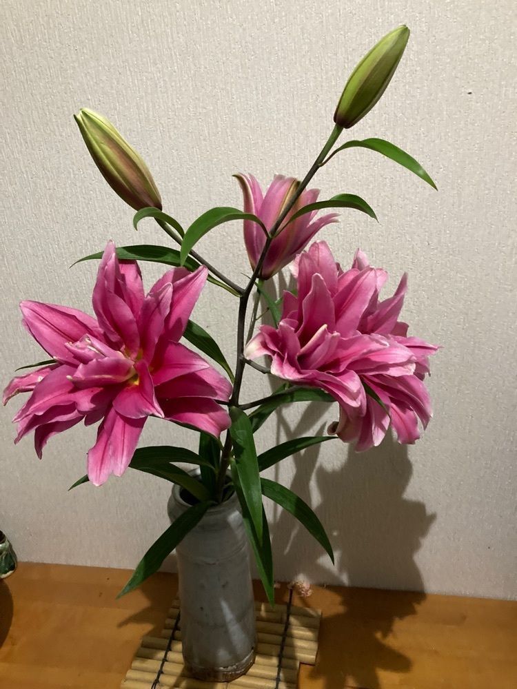 momochiさんが投稿したアズーラに関する口コミの画像