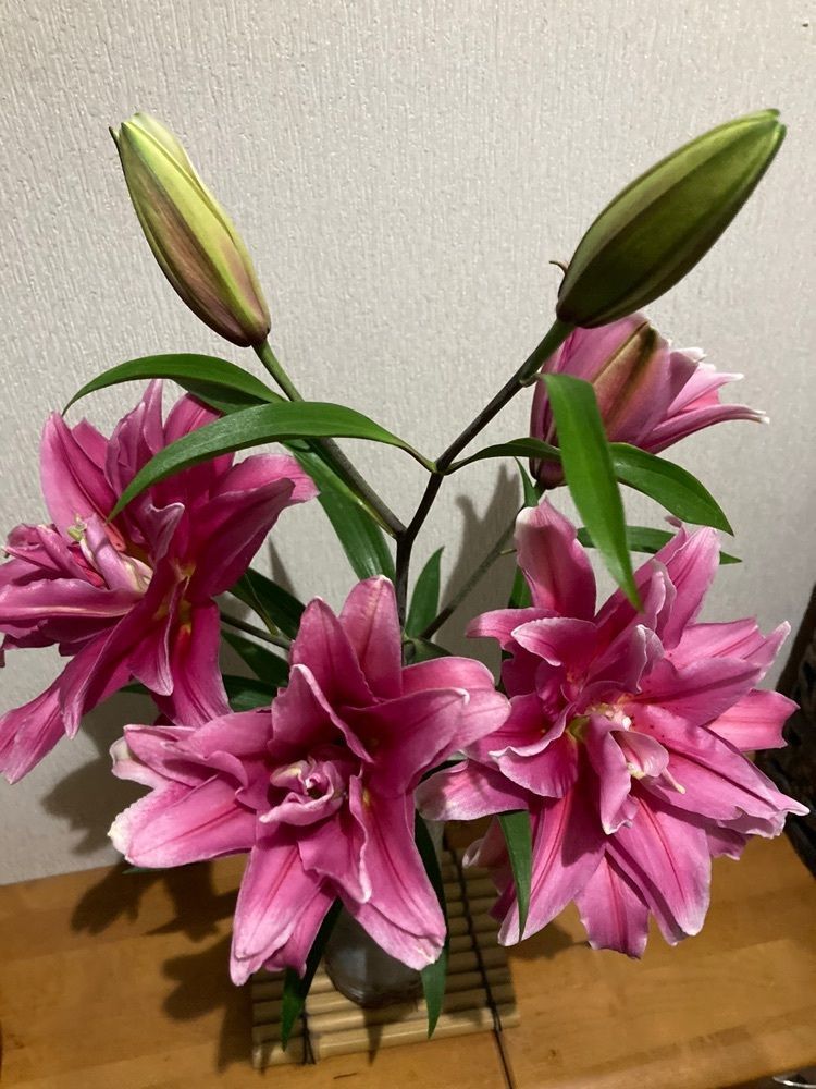 momochiさんが投稿したアズーラに関する口コミの画像