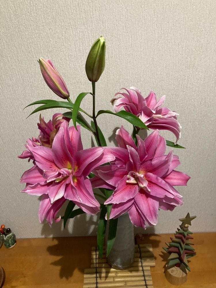 momochiさんが投稿したアズーラに関する口コミの画像
