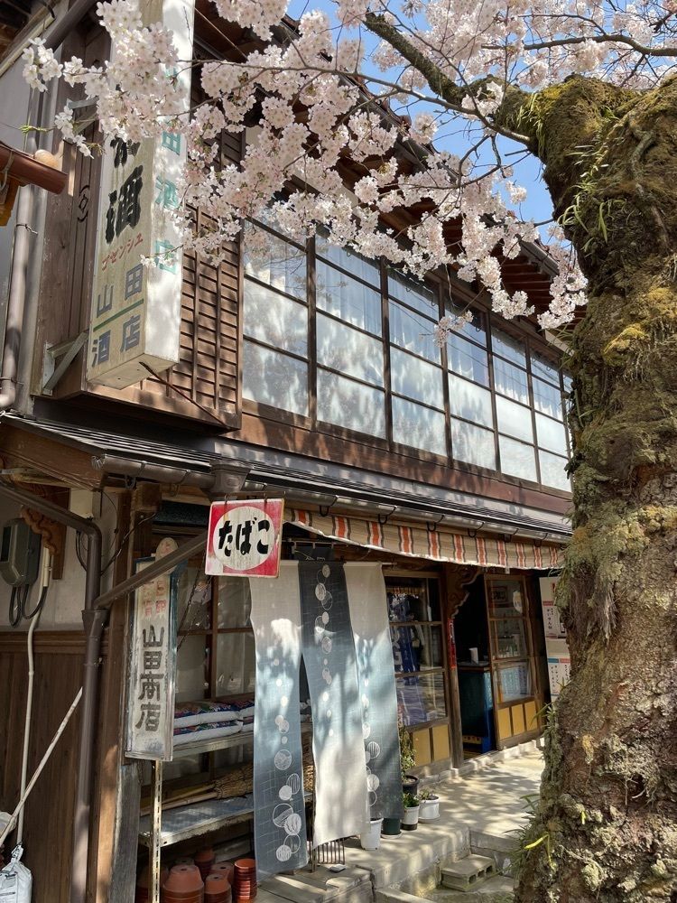sumomo86さんが投稿した新庄村に関する口コミの画像