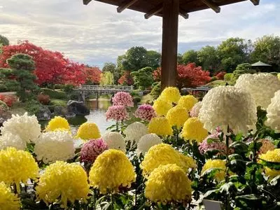 大仙公園 日本庭園