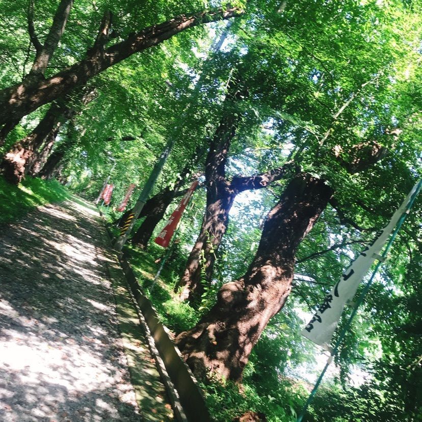猫なぎ。さんが投稿した鳥帽子山八幡宮に関する口コミの画像