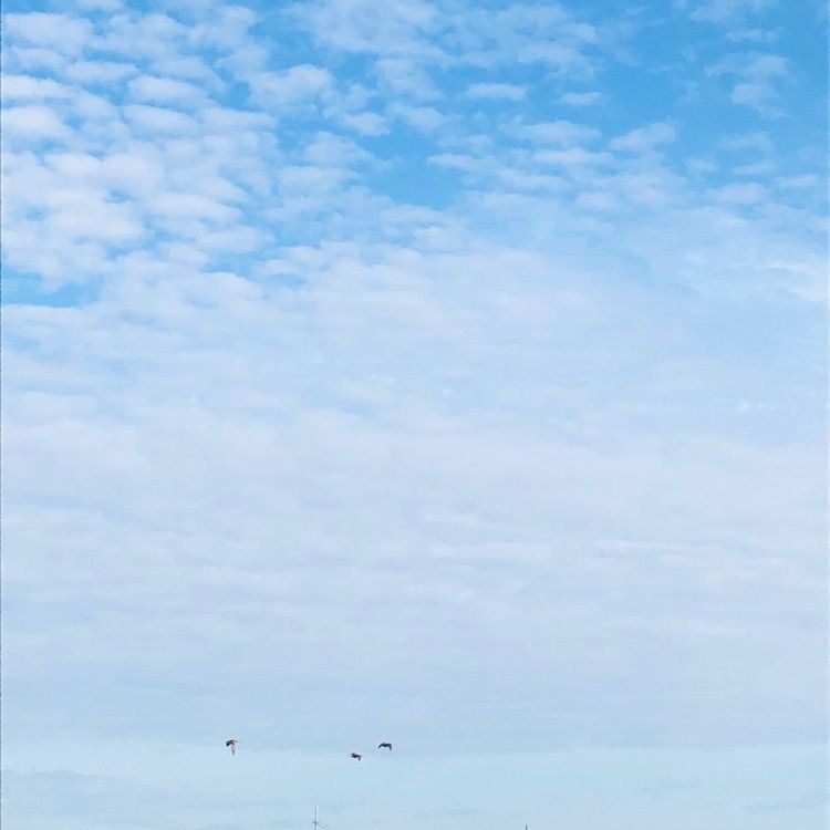 れいんぼうれいんぼうさんが投稿したソシオ流通センター駅に関する口コミの画像