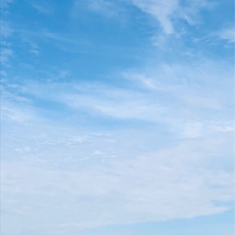 れいんぼうれいんぼうさんが投稿したソシオ流通センター駅に関する口コミの画像