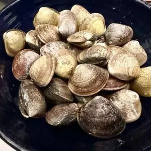 はまぐり庵 -吉祥別邸-