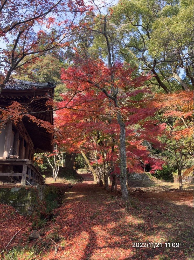marco14450さんが投稿した御調八幡宮に関する口コミの画像