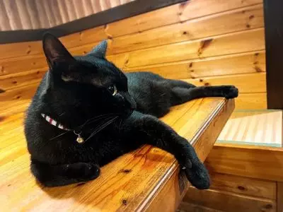 牛若丸