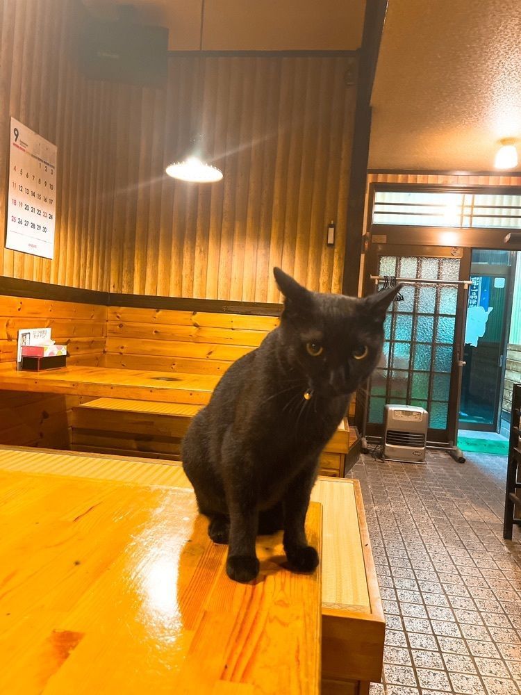 猫なぎ。さんが投稿した牛若丸に関する口コミの画像