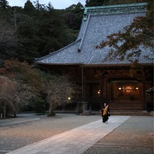 妙本寺のカイドウ