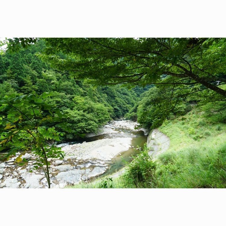 m_keijiさんが投稿した唐戸の渓谷に関する口コミの画像