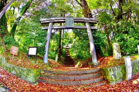 篠窪の椎の木森