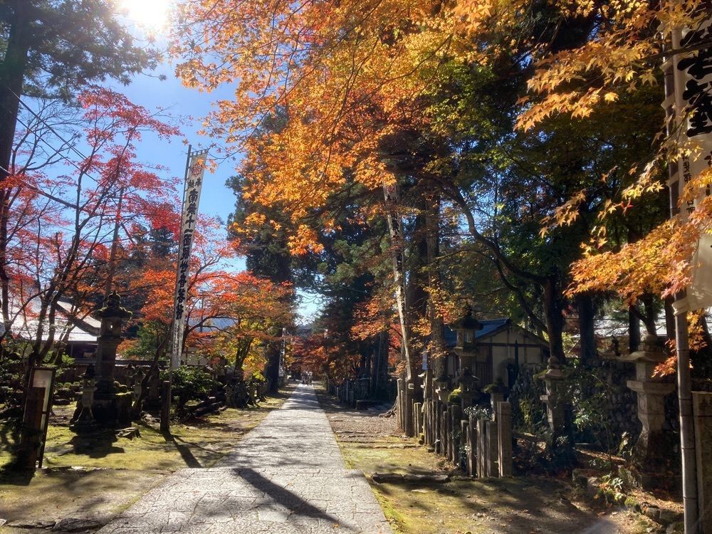 ply さんが投稿した谷汲観光資料館に関する口コミの画像