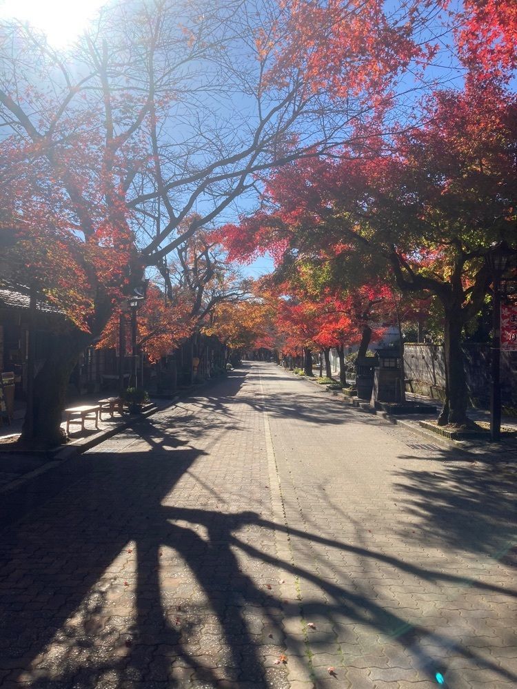 ply さんが投稿した谷汲観光資料館に関する口コミの画像