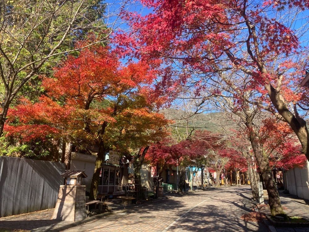ply さんが投稿した谷汲観光資料館に関する口コミの画像