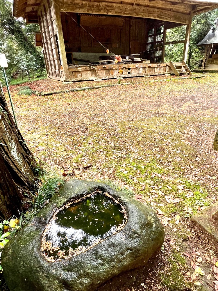 篠窪の椎の木森