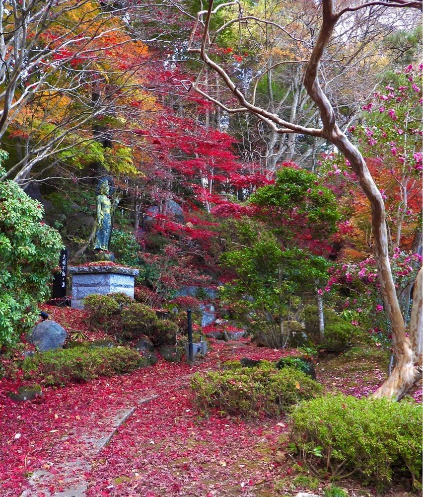 calm_gift_1030さんが投稿した円通寺（栃木県益子町）に関する口コミの画像