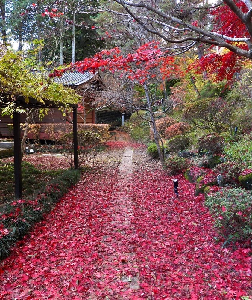 calm_gift_1030さんが投稿した円通寺（栃木県益子町）に関する口コミの画像