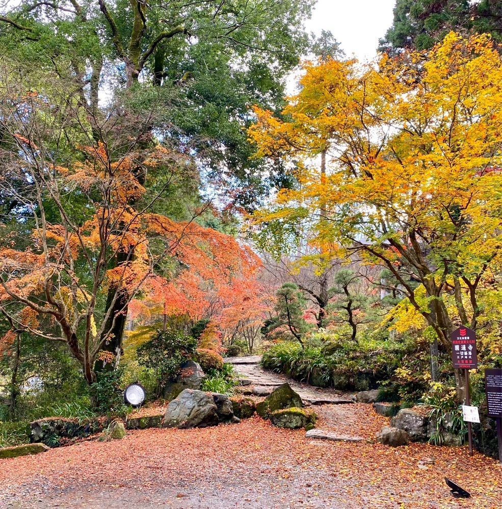 calm_gift_1030さんが投稿した円通寺（栃木県益子町）に関する口コミの画像