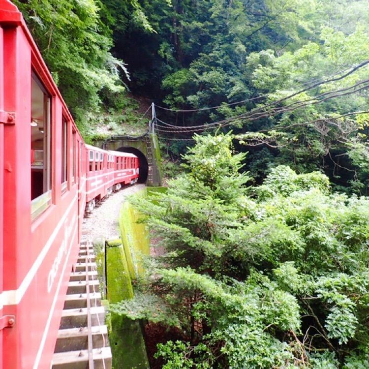 ざんぎさんが投稿した尾盛駅に関する口コミの画像