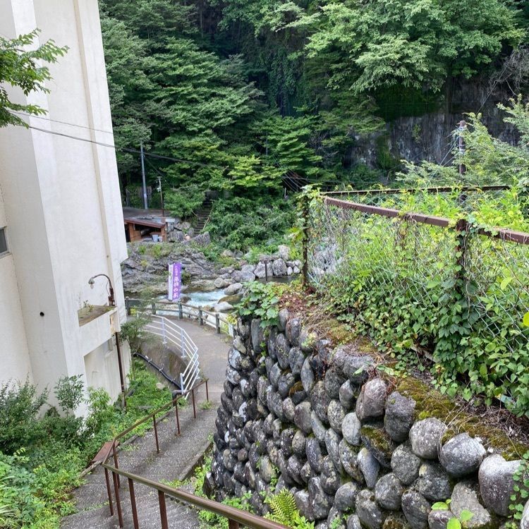 かめ_メグミさんが投稿した黄金橋に関する口コミの画像