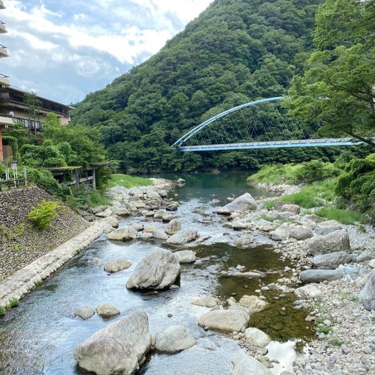 かめ_メグミさんが投稿した黄金橋に関する口コミの画像
