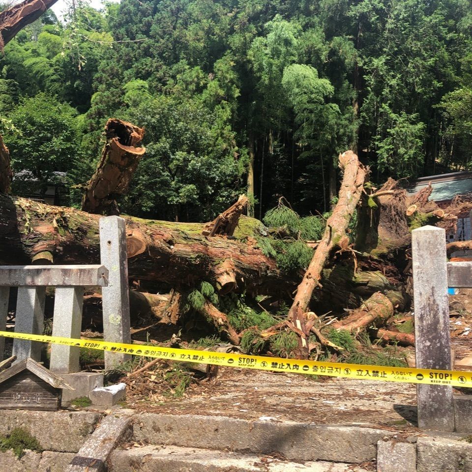 水瓶座さんが投稿した大湫神明神社の大杉に関する口コミの画像