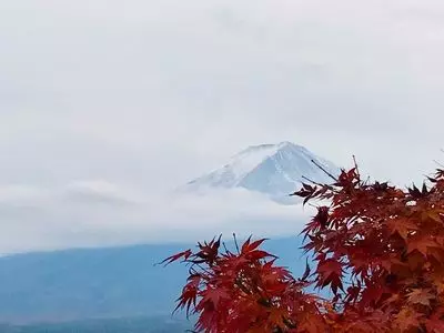 河口湖円形ホール