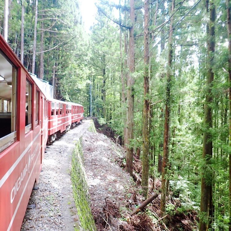 ざんぎさんが投稿した閑蔵駅に関する口コミの画像
