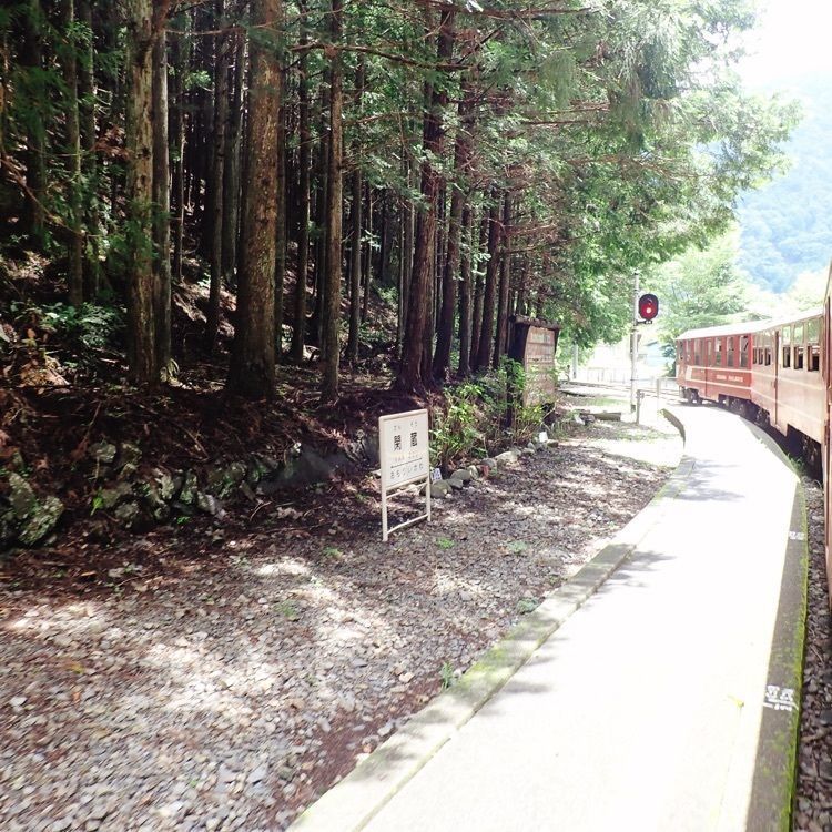 ざんぎさんが投稿した閑蔵駅に関する口コミの画像