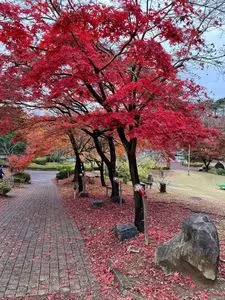虹の郷
