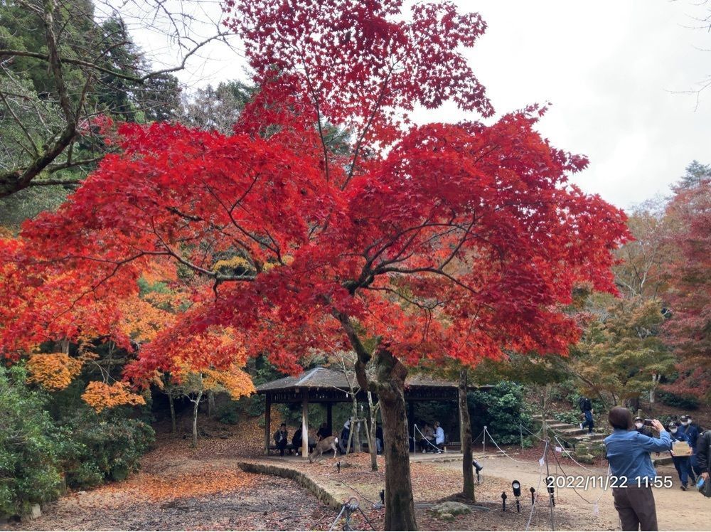 marco14450さんが投稿した獅子岩展望台に関する口コミの画像