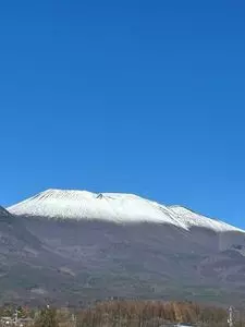 ココラデ（Cocorade）