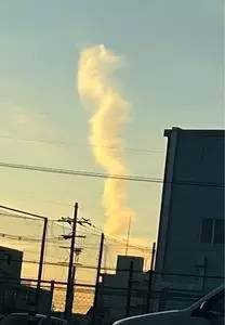 ニトリ 枚方店