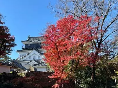 岡崎公園の紅葉