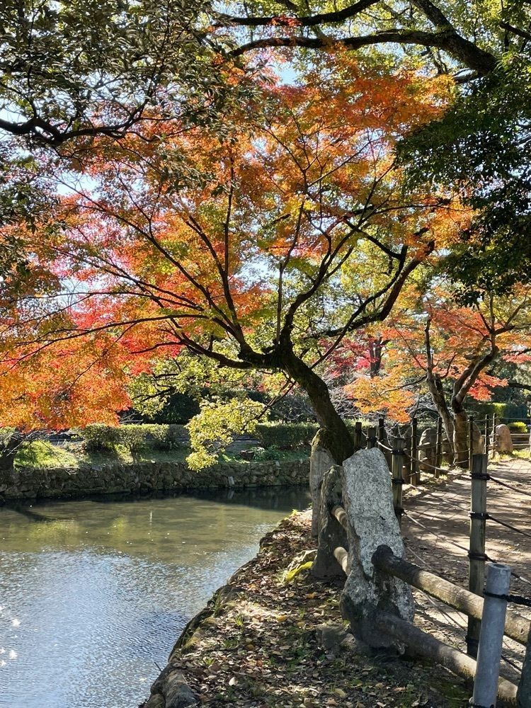 Make35さんが投稿した岡崎公園の紅葉に関する口コミの画像