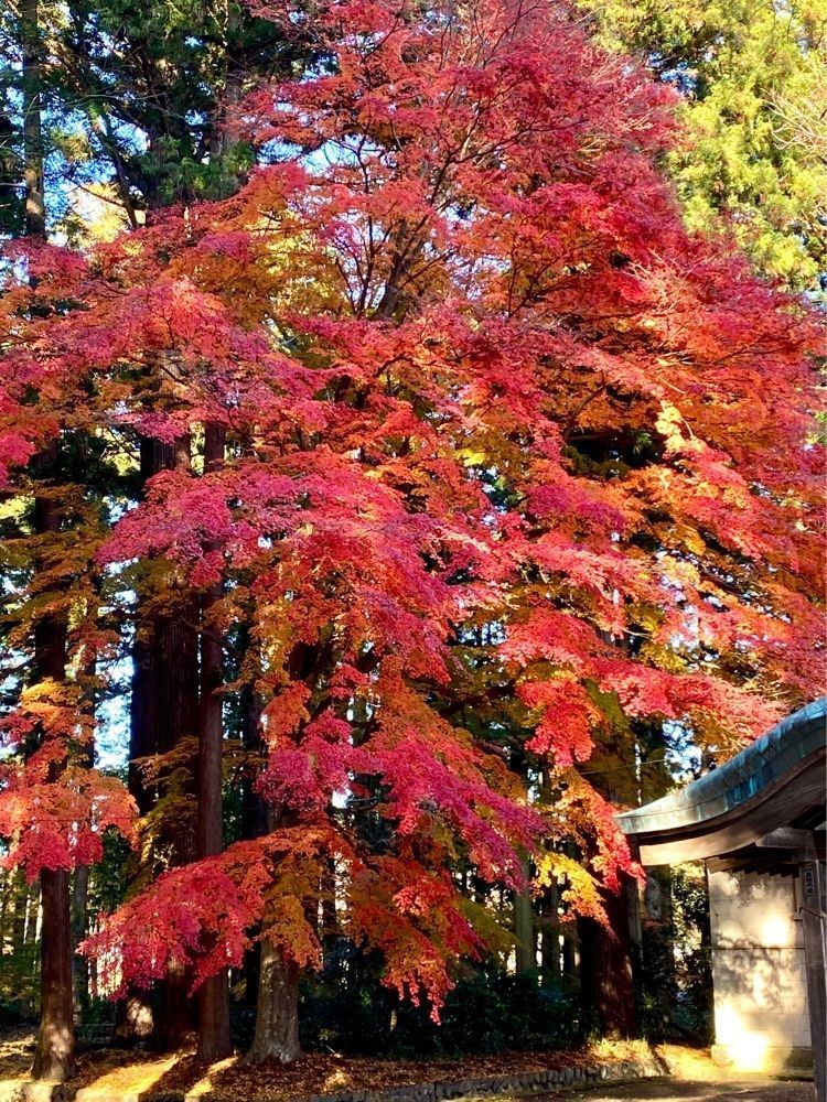 calm_gift_1030さんが投稿した八槻都々古別神社に関する口コミの画像
