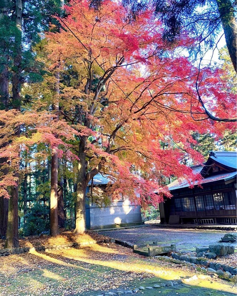 calm_gift_1030さんが投稿した八槻都々古別神社に関する口コミの画像