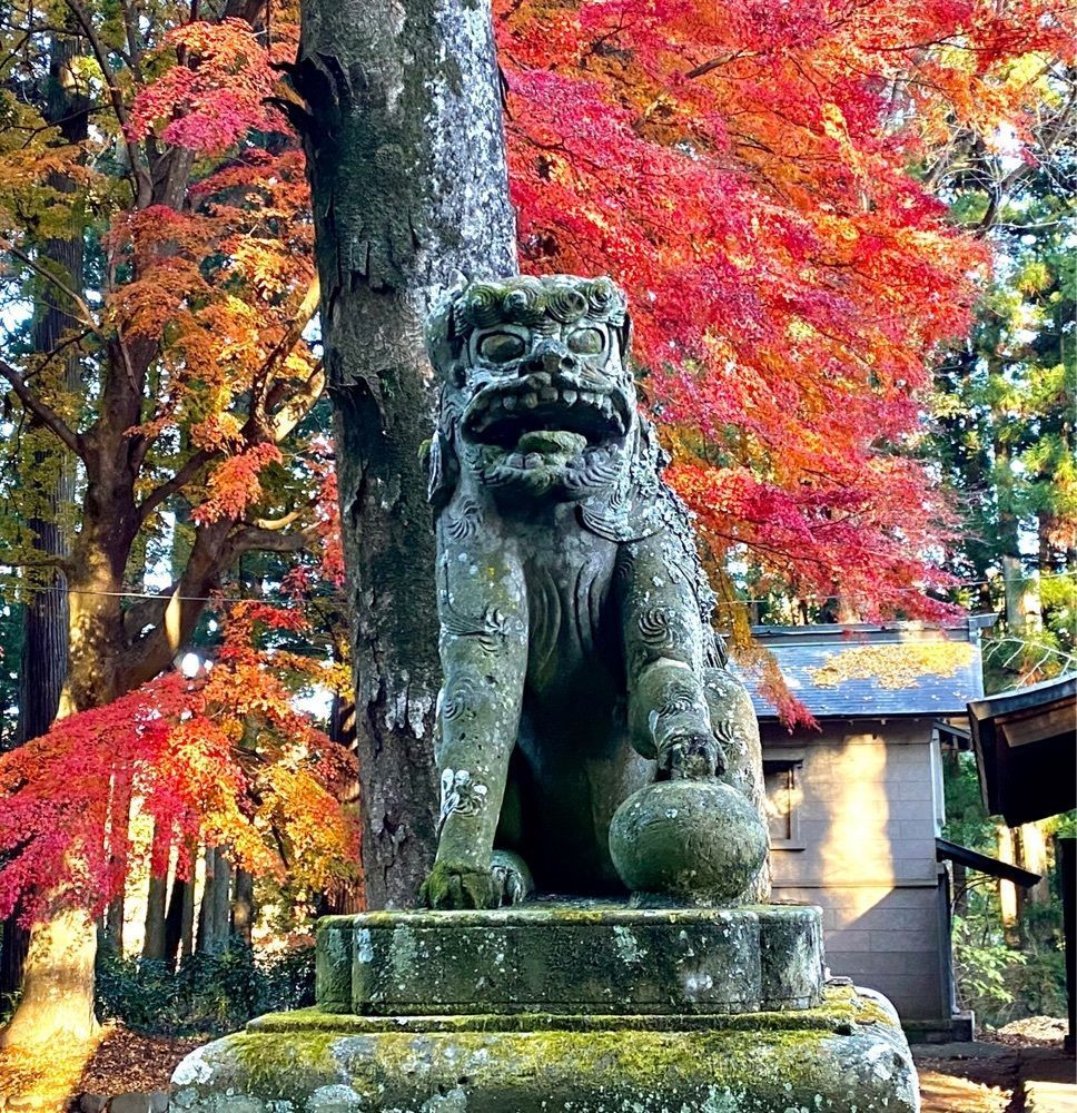 calm_gift_1030さんが投稿した八槻都々古別神社に関する口コミの画像