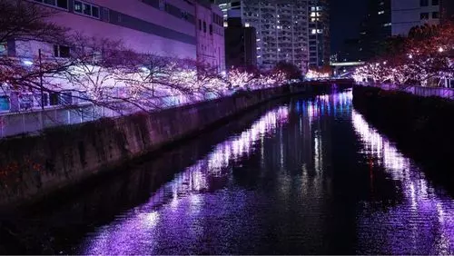 五反田ふれあい水辺広場