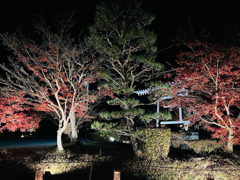 ステップさんが投稿した観音寺（普賢寺大御堂）に関する口コミの画像