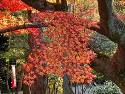 今熊野観音寺