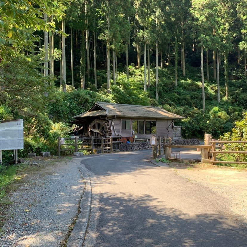 メリーさんが投稿した泉谷の棚田に関する口コミの画像