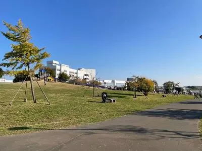 ふる浜売店（ふるはまばいてん）